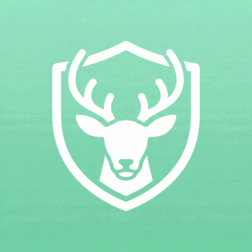 Lubi VPN app icon